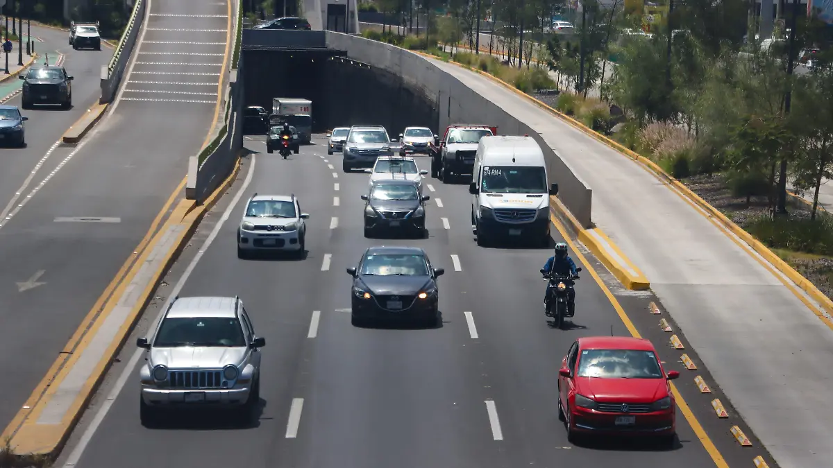 WhatsApp Image 2026-01-09 at 09.57.31