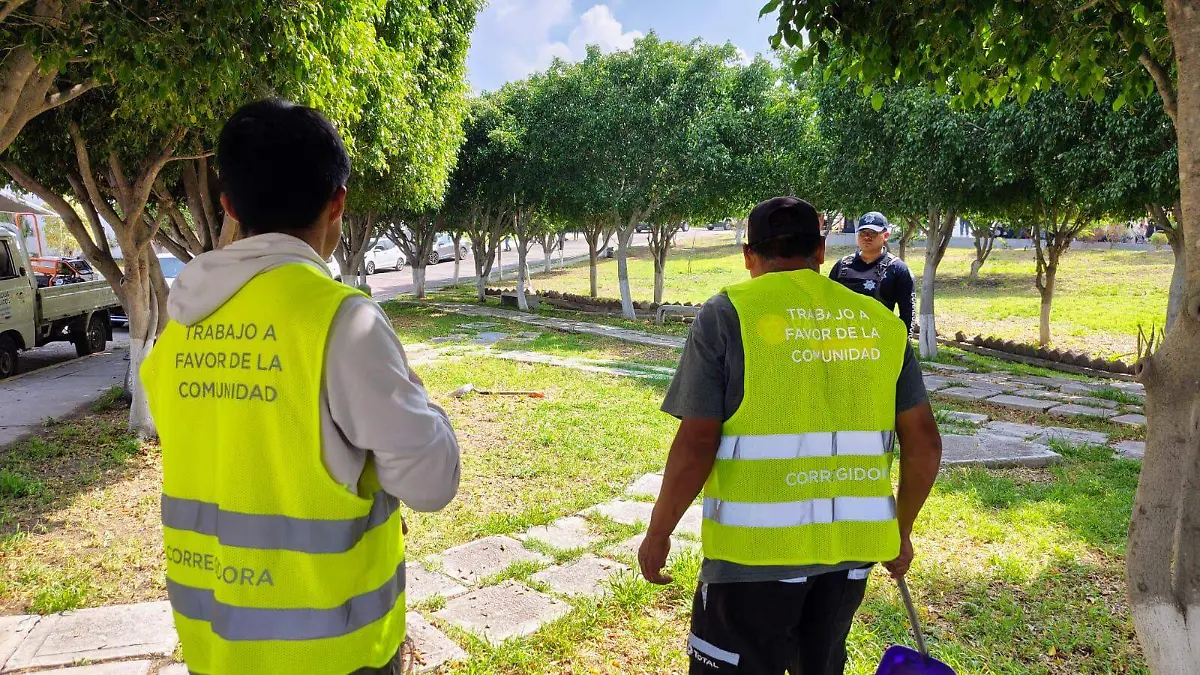 WhatsApp Image 2026-01-09 at 11.04.17