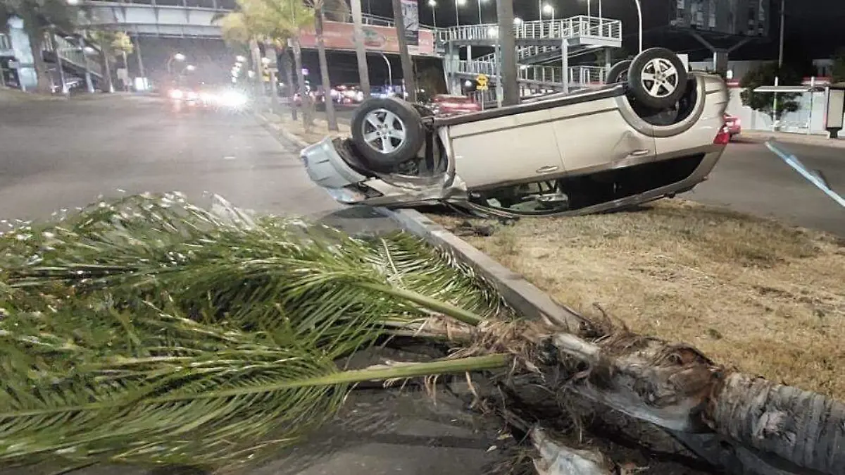 6aeaf06a-383f-4a2b-81e5-8f9e82158057