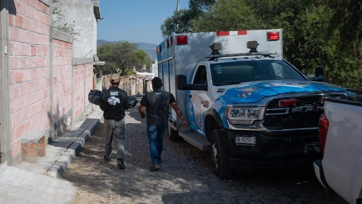 DENUNCIAS CIUDADANAS