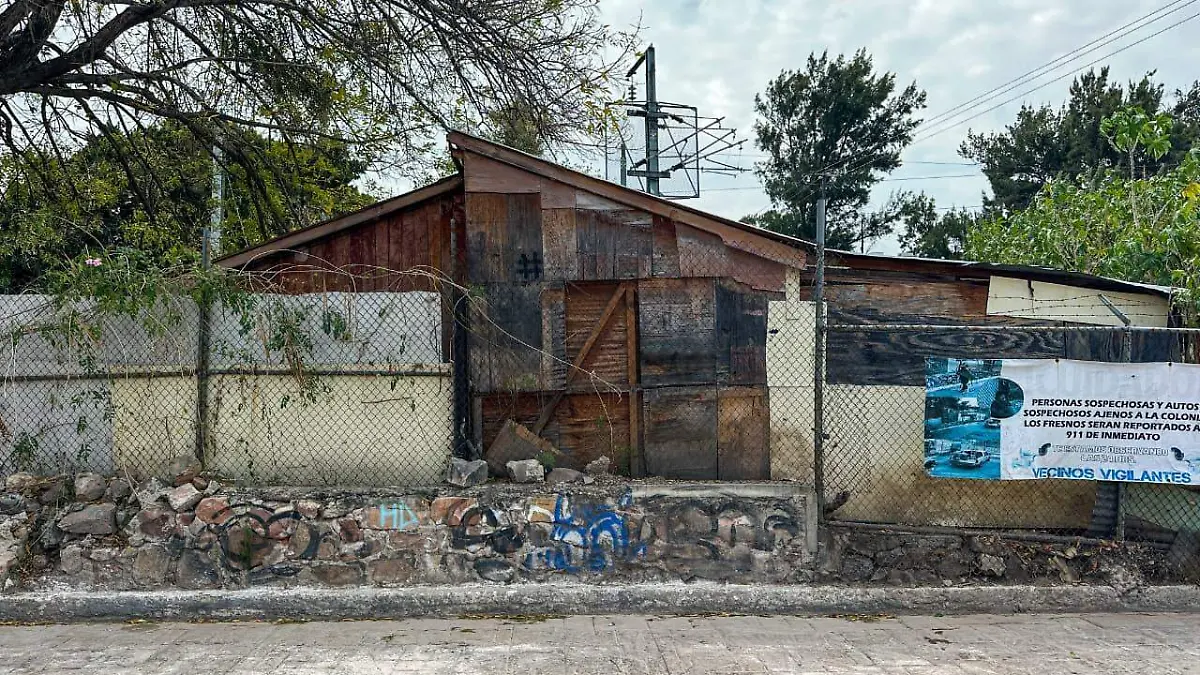 WhatsApp Image 2026-01-11 at 1.53.34 PM