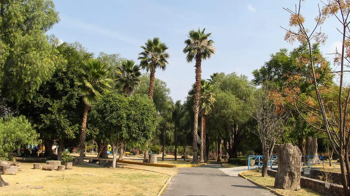 WhatsApp Image 2026-01-12 at 13.07.37