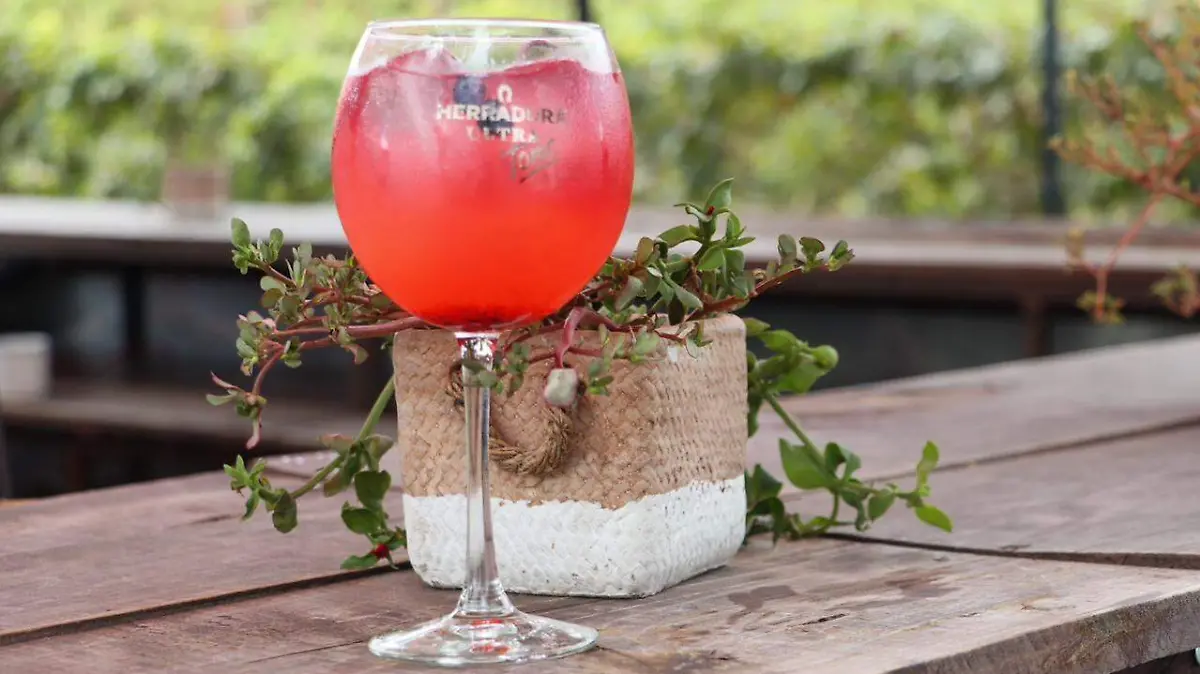 WhatsApp Image 2026-01-12 at 14.19.23