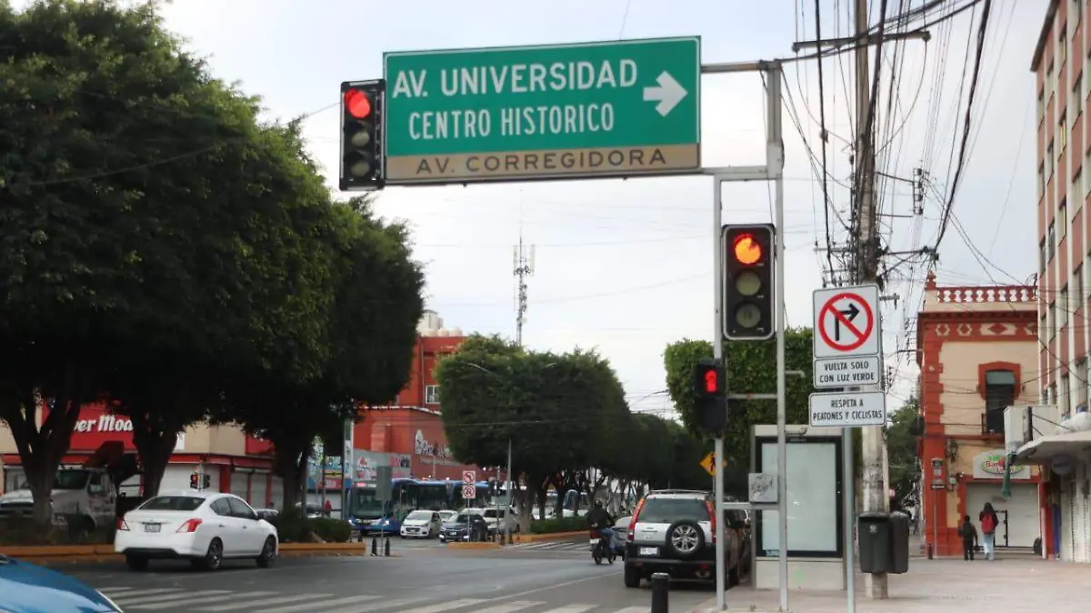 WhatsApp Image 2026-01-12 at 11.37.33