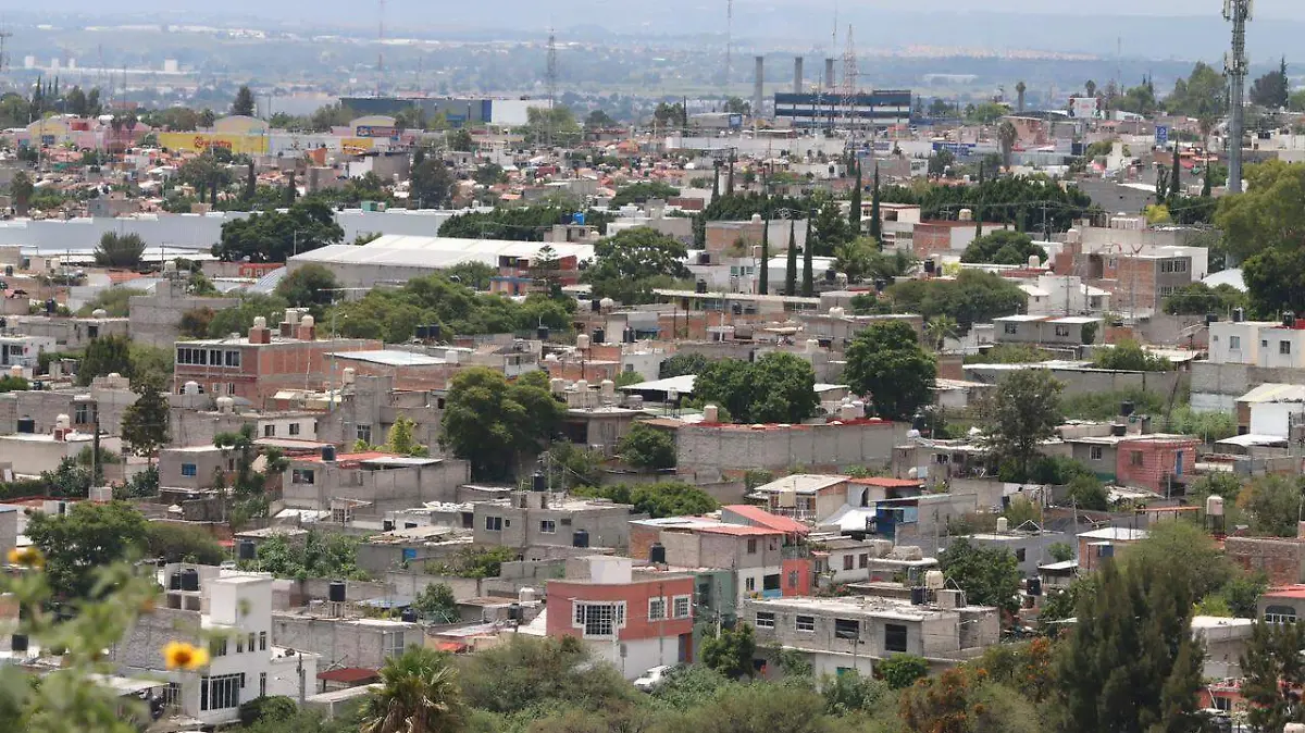 WhatsApp Image 2026-01-13 at 13.05.12