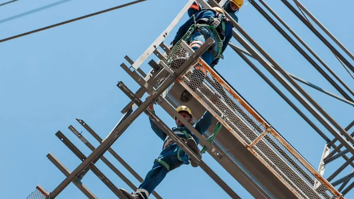 WhatsApp Image 2026-01-13 at 12.19.08