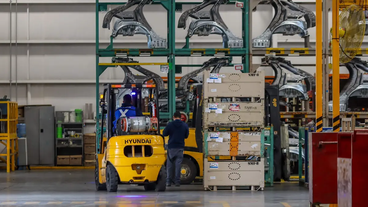 WhatsApp Image 2026-01-13 at 17.24.10