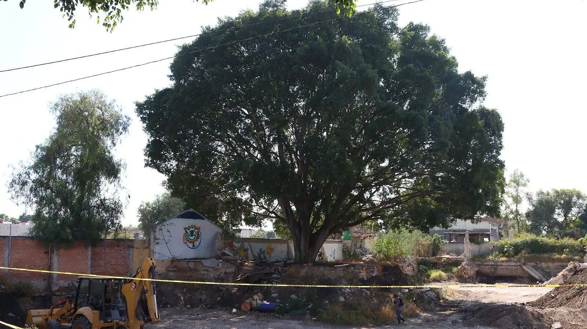 WhatsApp Image 2026-01-14 at 12.26.38 PM