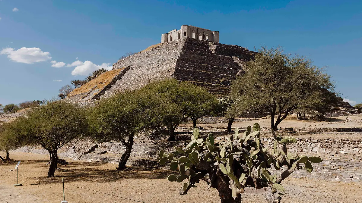 WhatsApp Image 2026-01-15 at 13.19.14