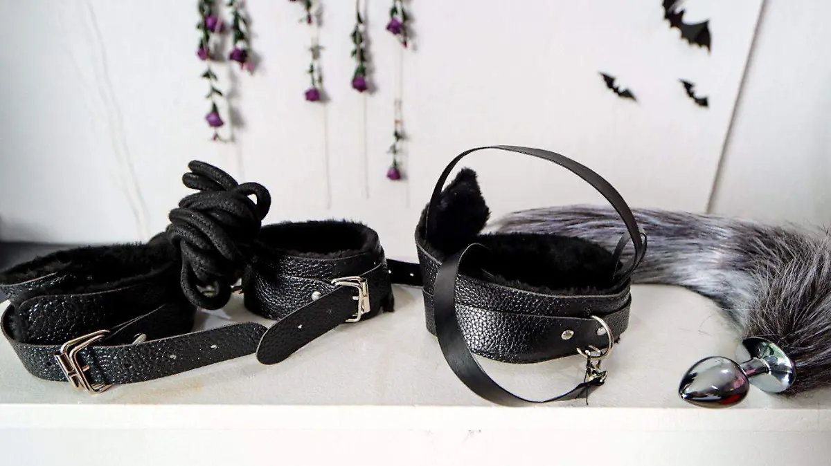 f00e4207-4d60-41f3-8b84-59a3d7d8f67c