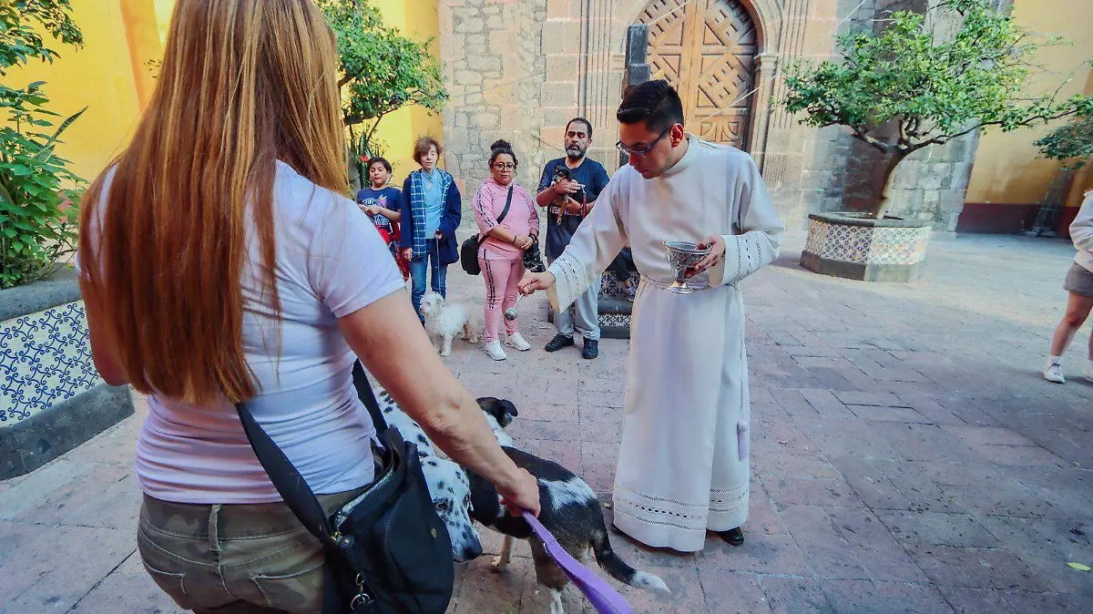 2d44a784-625d-43ac-8a4d-5b89e67fefb3