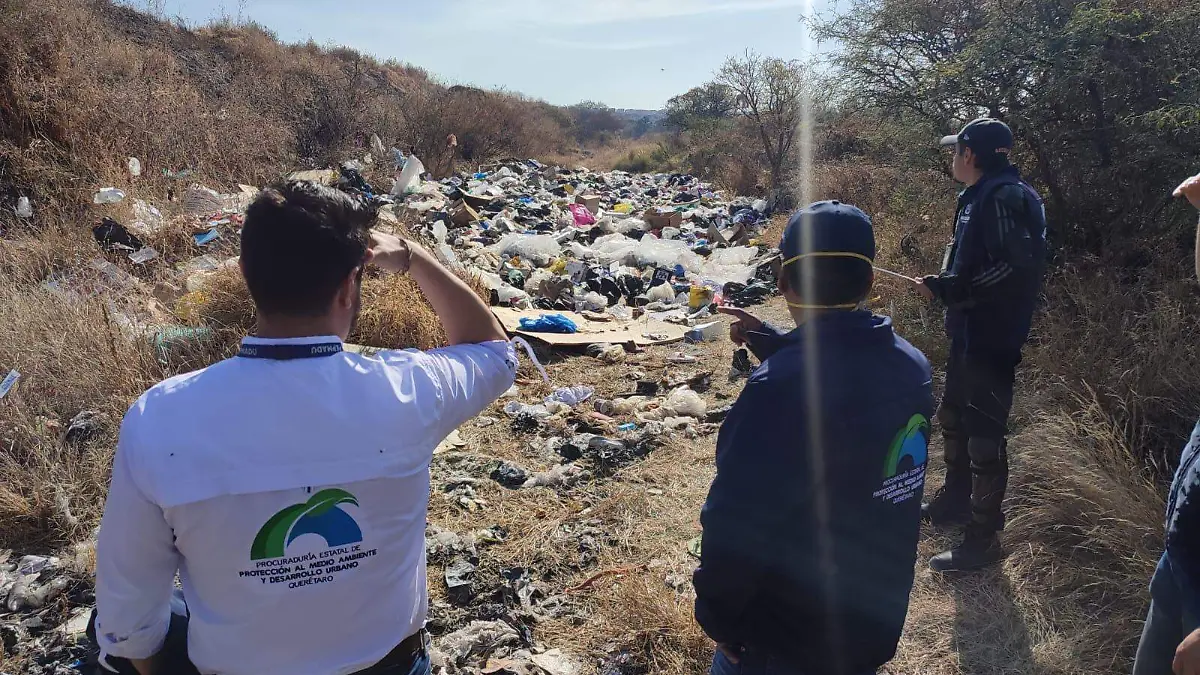 71_273_50322_1219621580_IMG_7590