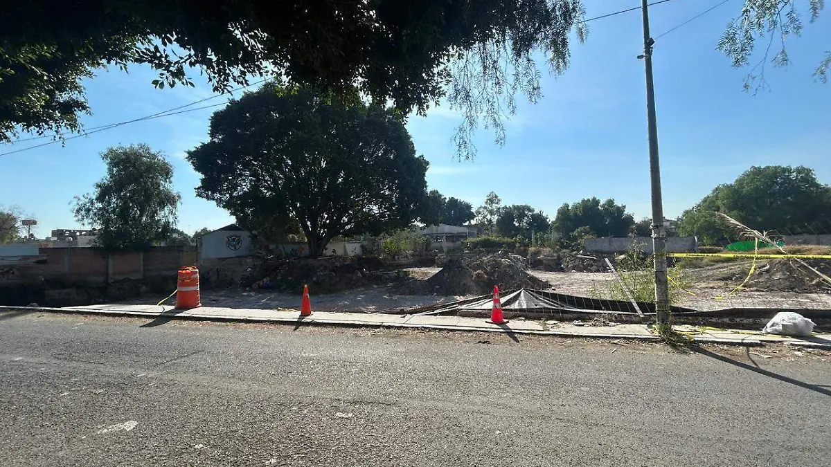 WhatsApp Image 2026-01-16 at 14.09.05