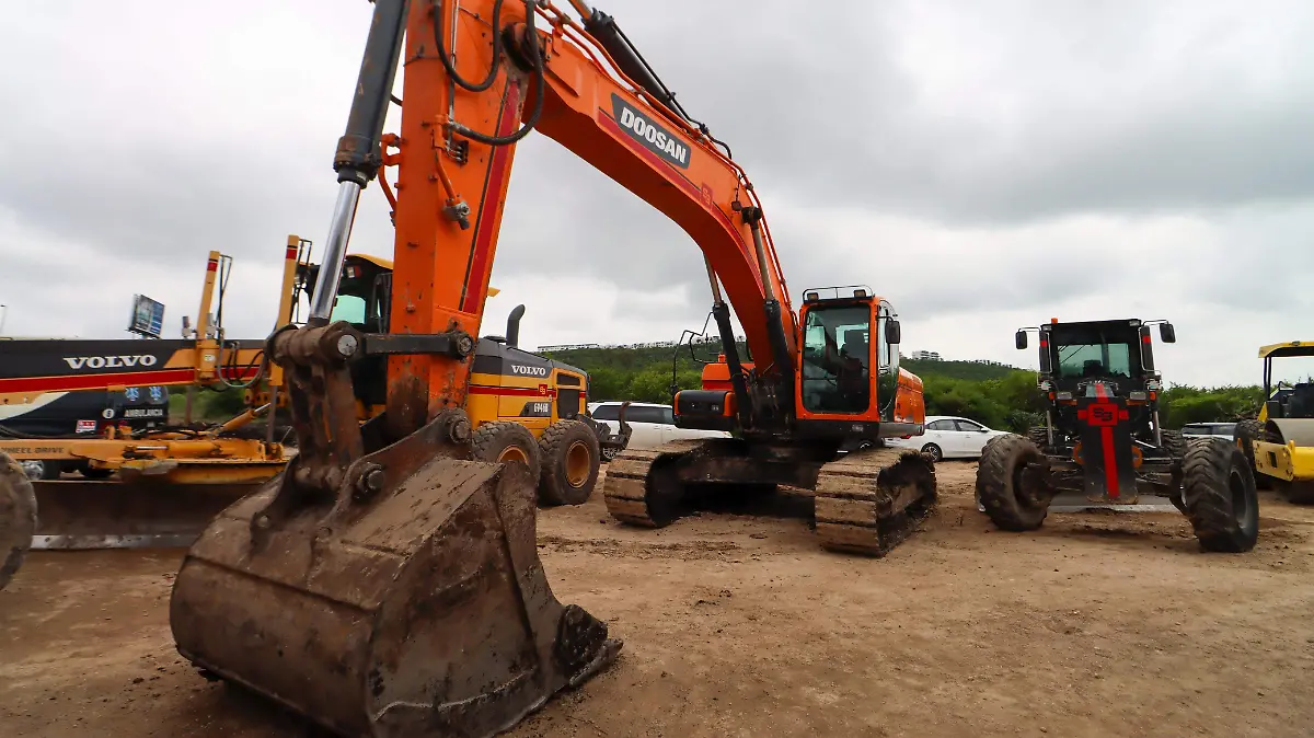 WhatsApp Image 2026-01-16 at 16.35.00