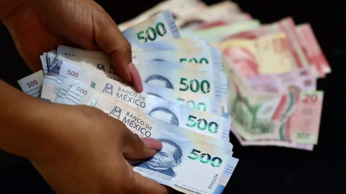 WhatsApp Image 2026-01-18 at 09.54.43