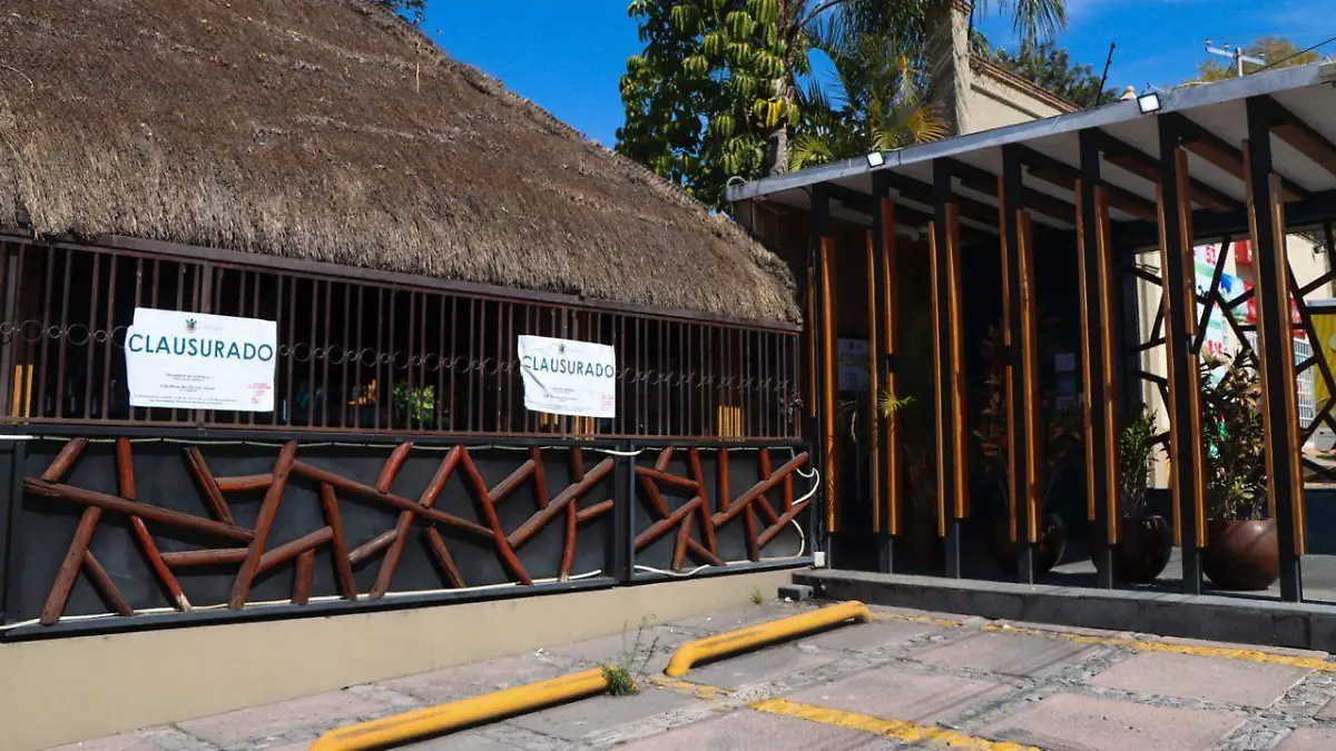 WhatsApp Image 2026-01-19 at 3.03.00 PM