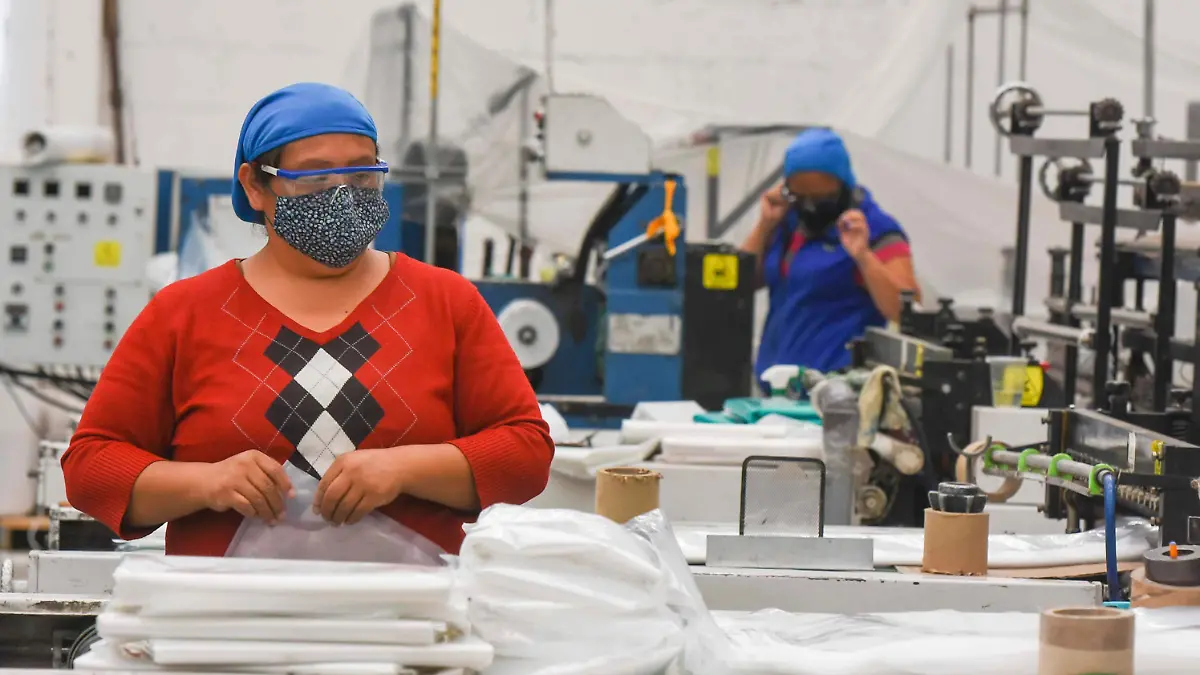 WhatsApp Image 2026-01-19 at 15.14.10