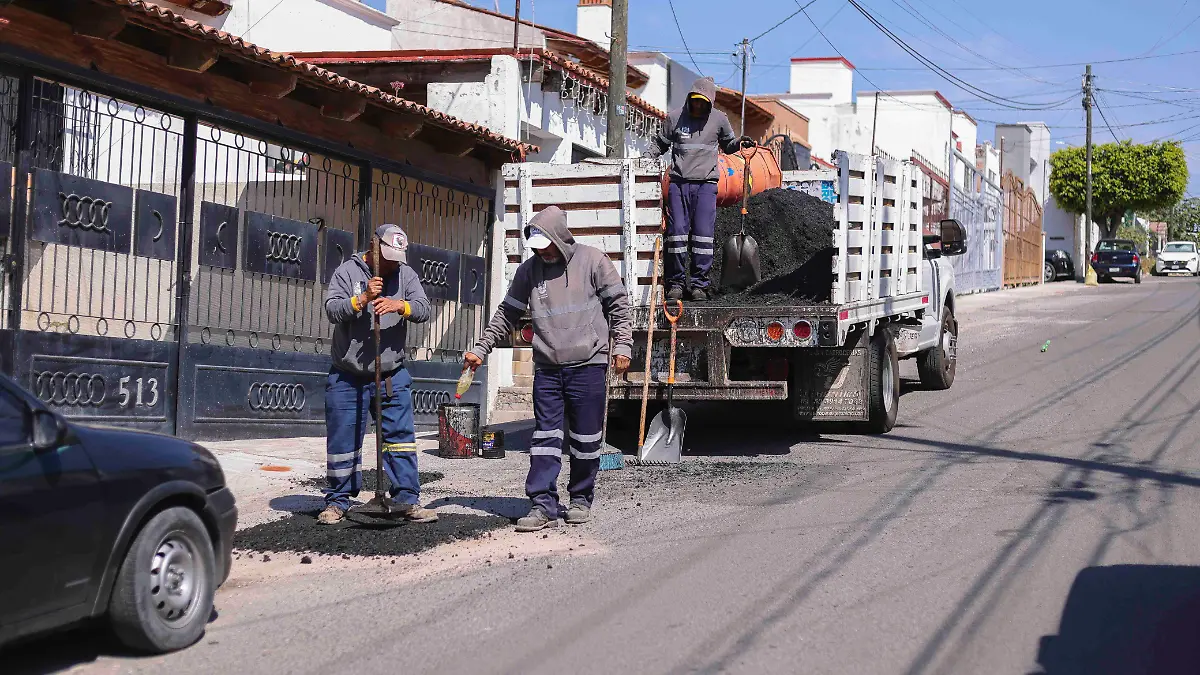 WhatsApp Image 2026-01-20 at 12.24.28