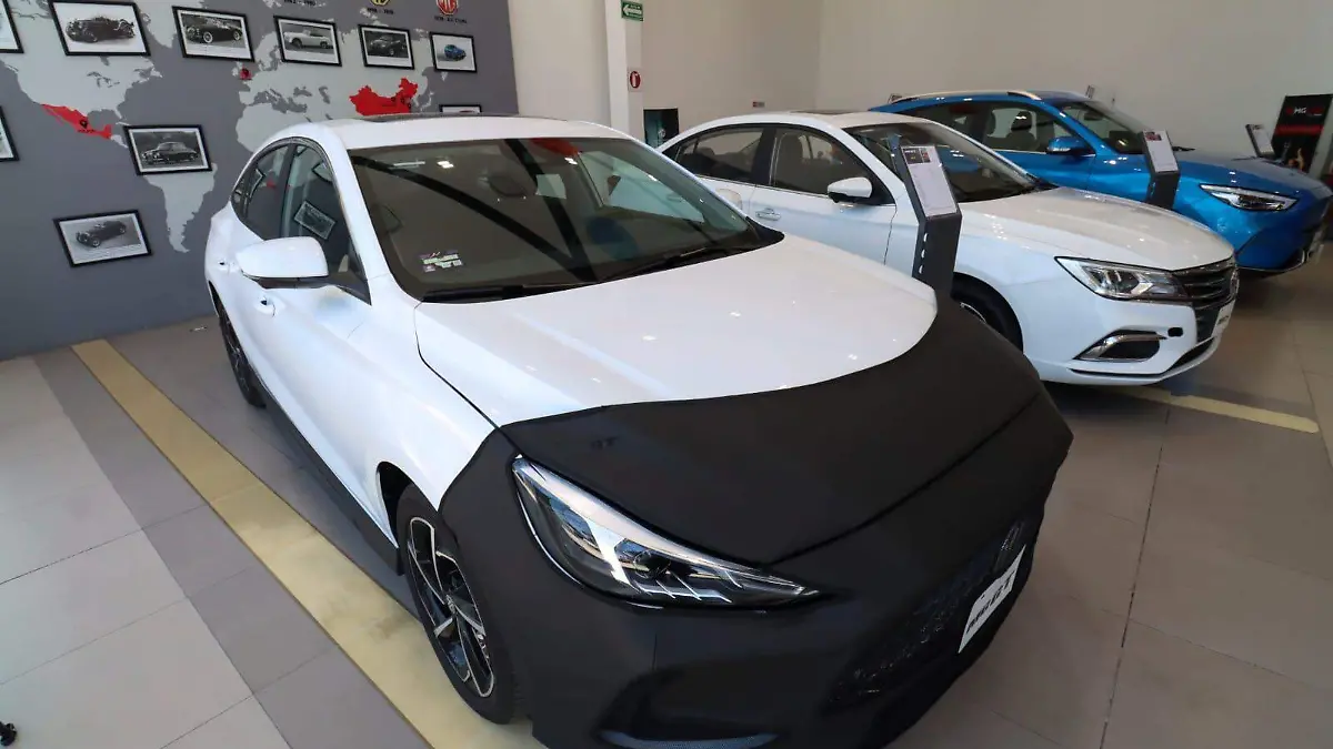 WhatsApp Image 2026-01-21 at 11.00.16