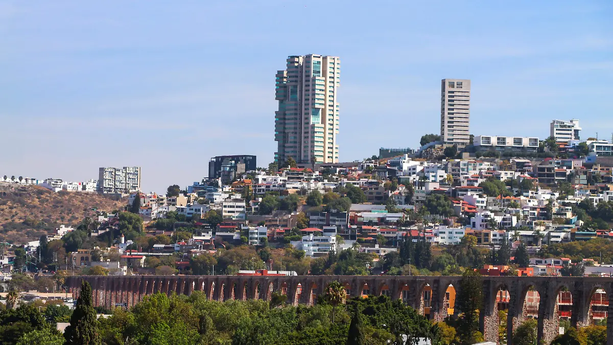 WhatsApp Image 2026-01-22 at 12.07.41