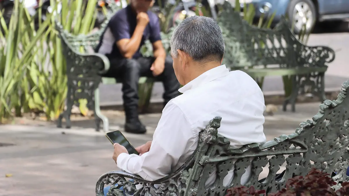 250219_EL CELULAR_MC_1