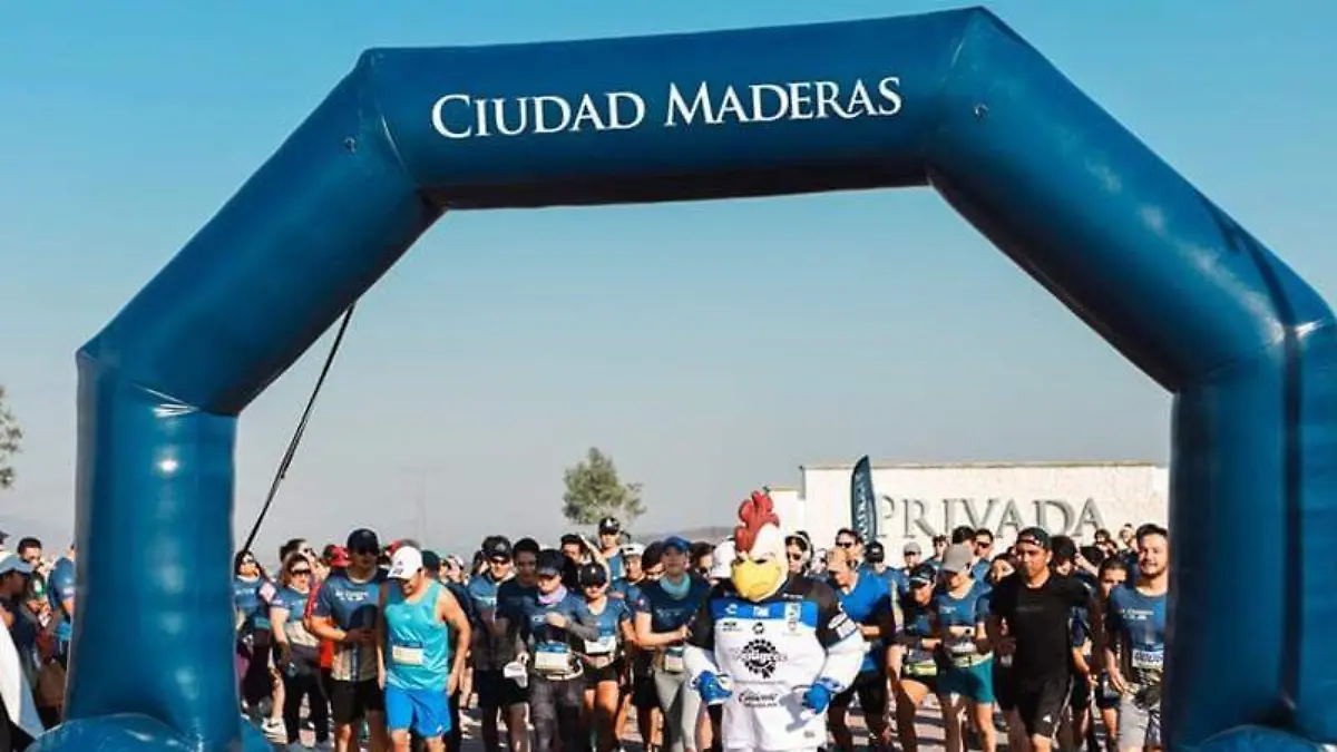 IMG-20260122-WA0088~2