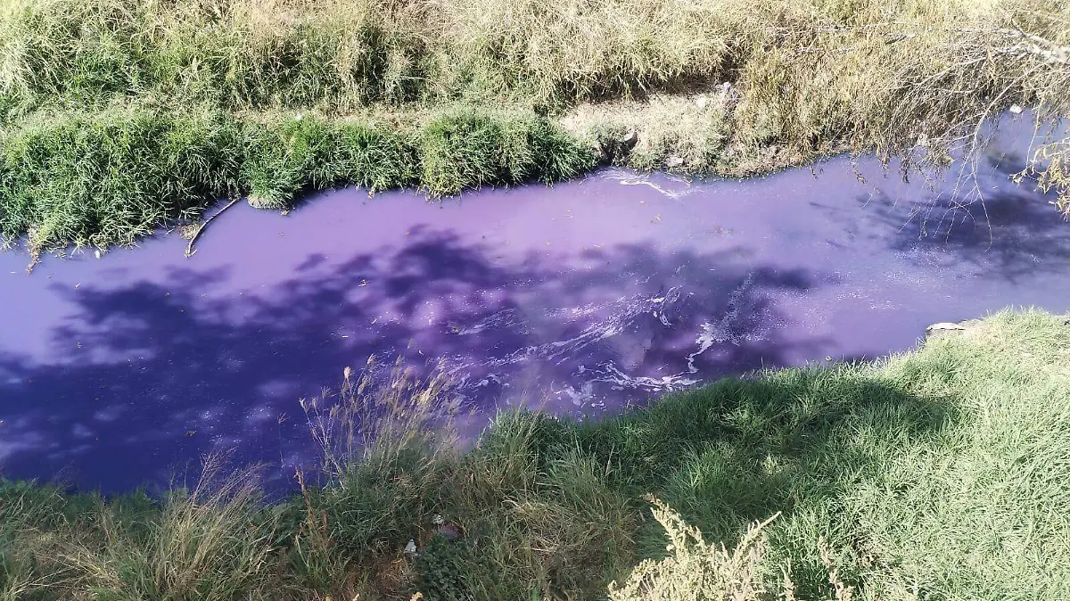 619593112_1194889972751707_1647042701955777556_n