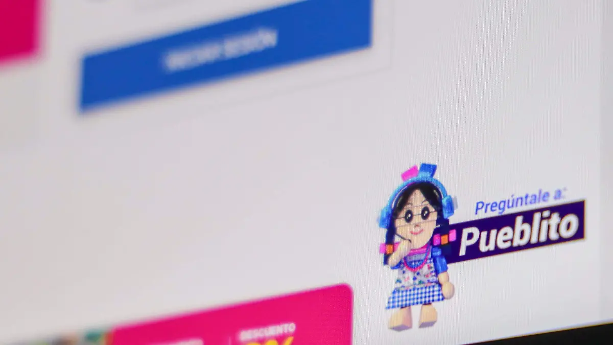 WhatsApp Image 2026-01-25 at 10.13.59