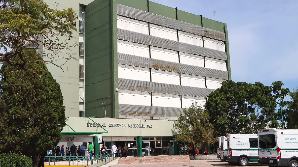 WhatsApp Image 2026-01-27 at 10.52.32