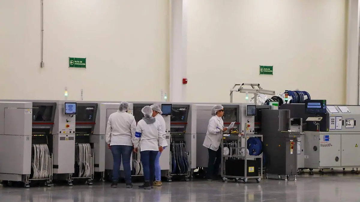 WhatsApp Image 2025-12-03 at 11.19.31