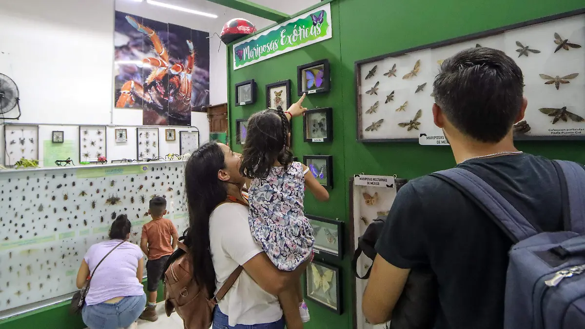 240413_MUSEO DE BICHOS_IS-05