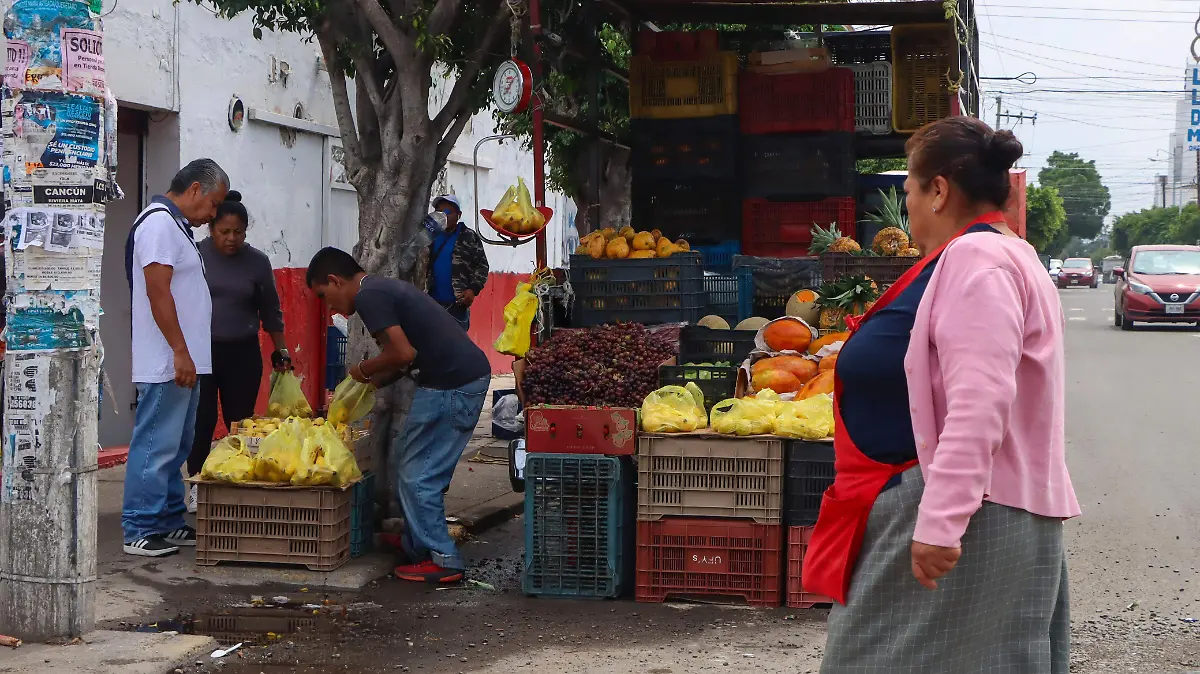 WhatsApp Image 2026-01-28 at 14.49.18