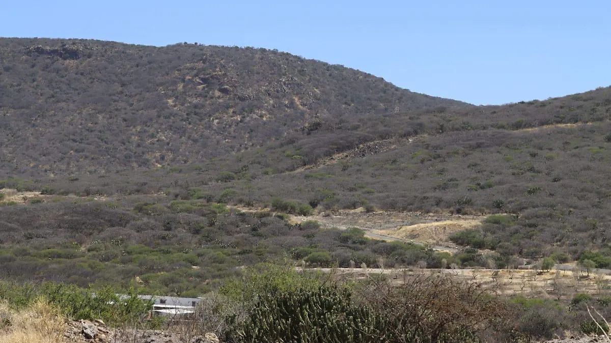 WhatsApp Image 2026-01-30 at 14.35.06