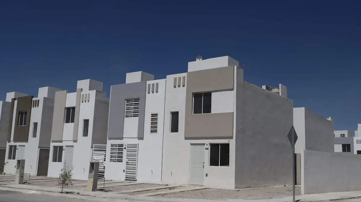 WhatsApp Image 2026-02-02 at 11.21.37