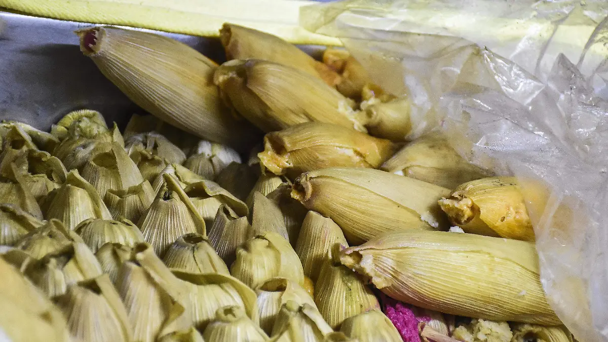 260129_TAMALES LA CONGRE_MC_22