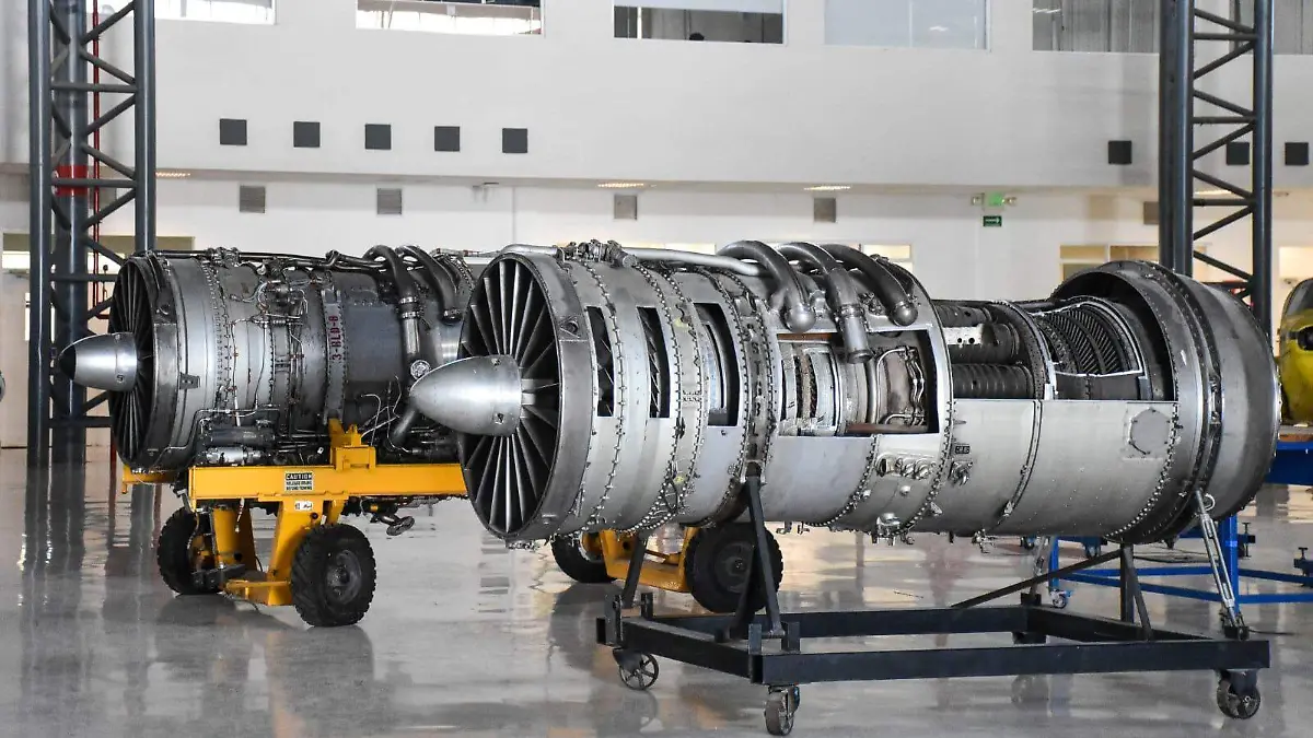 WhatsApp Image 2026-02-02 at 11.29.20