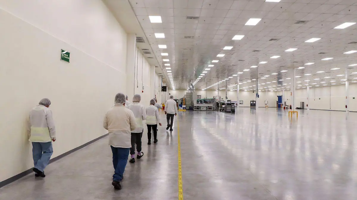 WhatsApp Image 2026-02-05 at 13.43.57