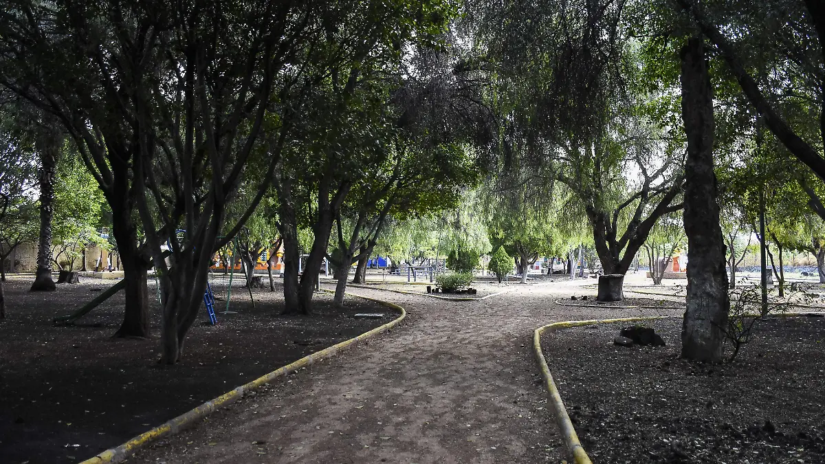 250118_PARQUE ALCANFORES_MC_21