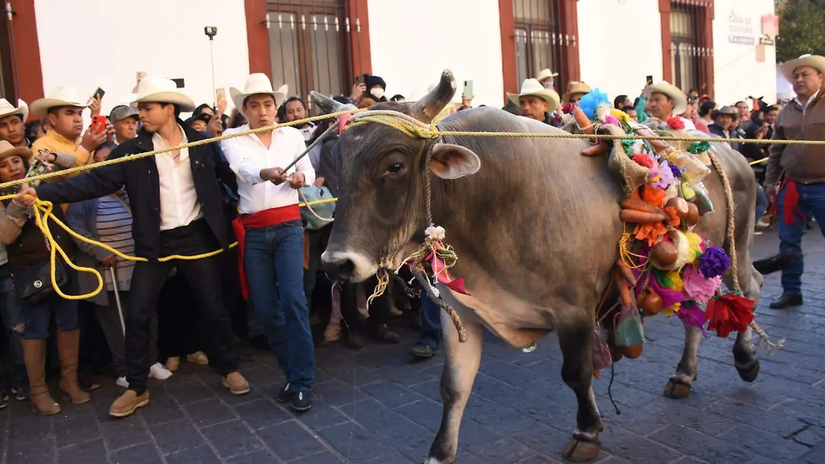 WhatsApp Image 2026-02-08 at 10.31.24