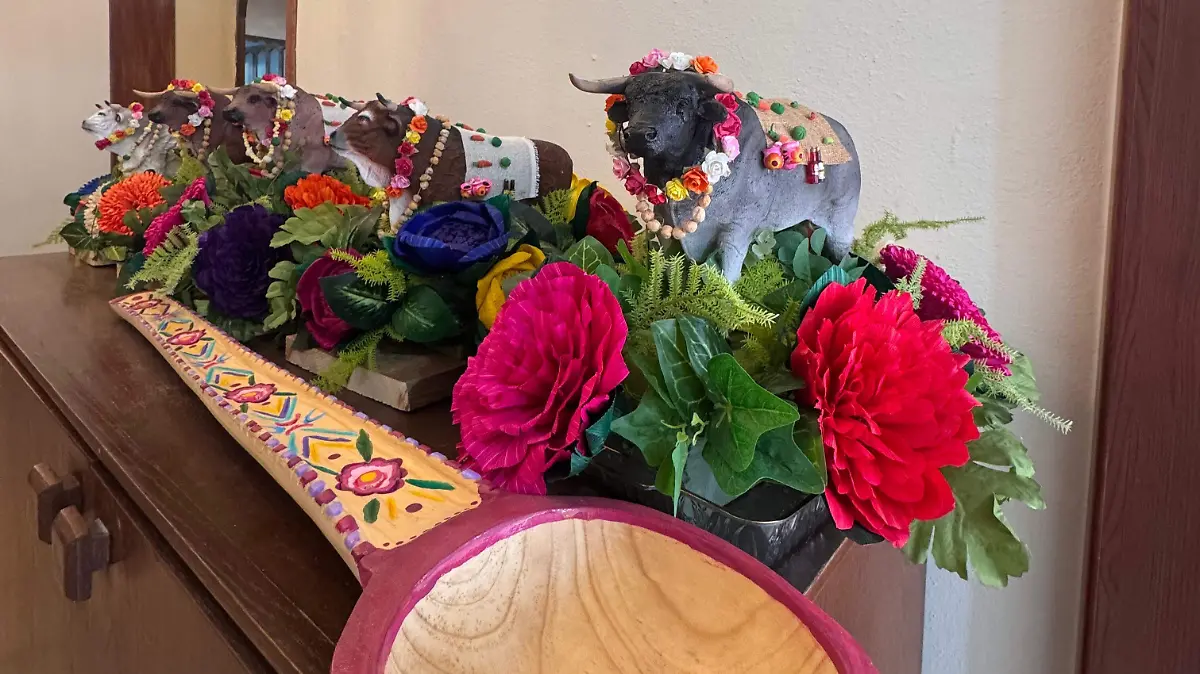 WhatsApp Image 2026-02-09 at 12.52.09 PM (1)