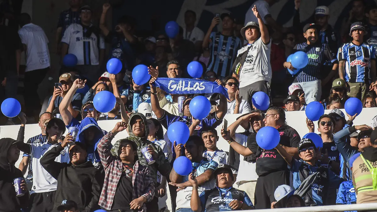 260207_BARRA ALBIAZUL_MC_5