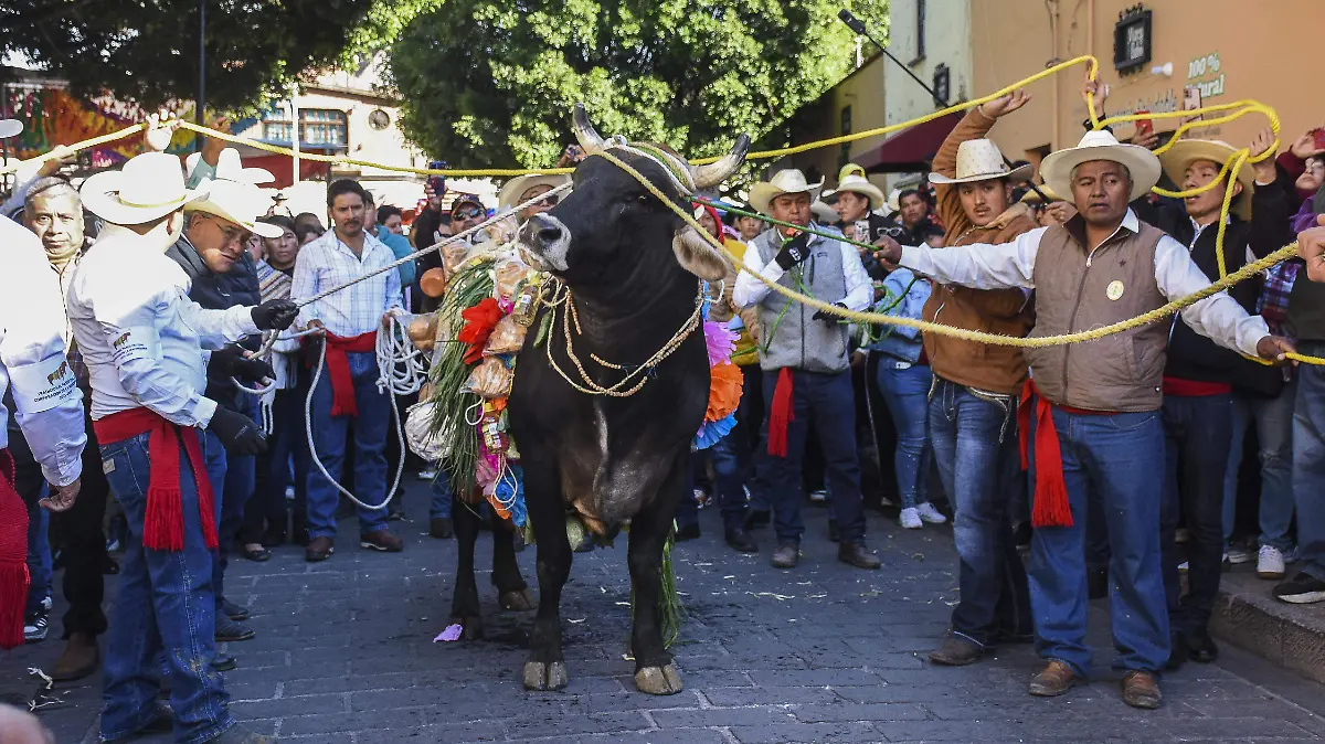 260208_TRADICIONAL PASEO DEL BUEY_MC_6