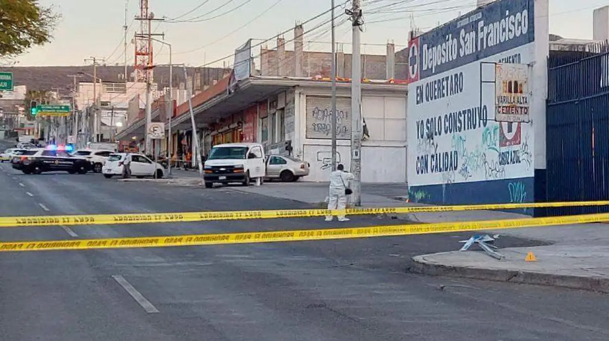 WhatsApp Image 2026-02-09 at 20.31.12