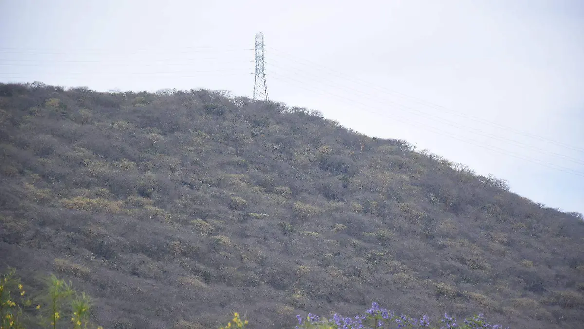 WhatsApp Image 2026-02-10 at 13.53.34