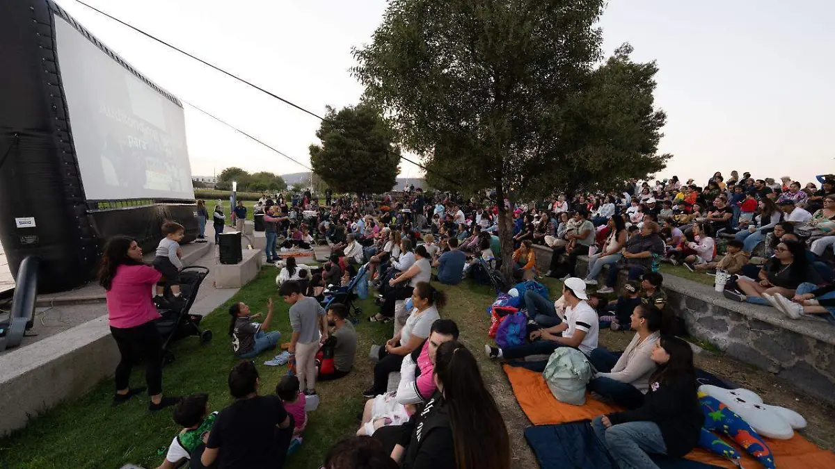 WhatsApp Image 2026-02-10 at 3.51.55 PM