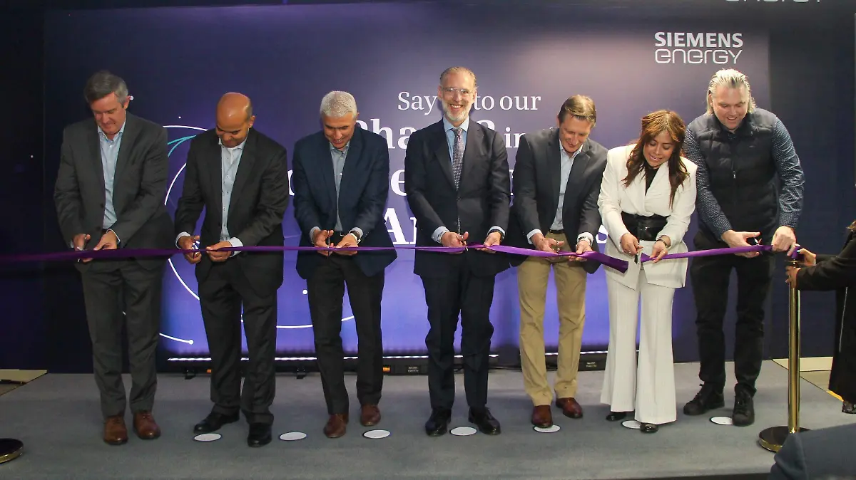 WhatsApp Image 2026-02-11 at 12.17.19