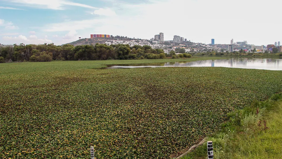 WhatsApp Image 2026-02-11 at 5.42.32 PM