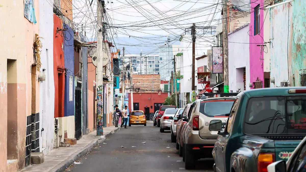 WhatsApp Image 2026-02-12 at 14.22.23