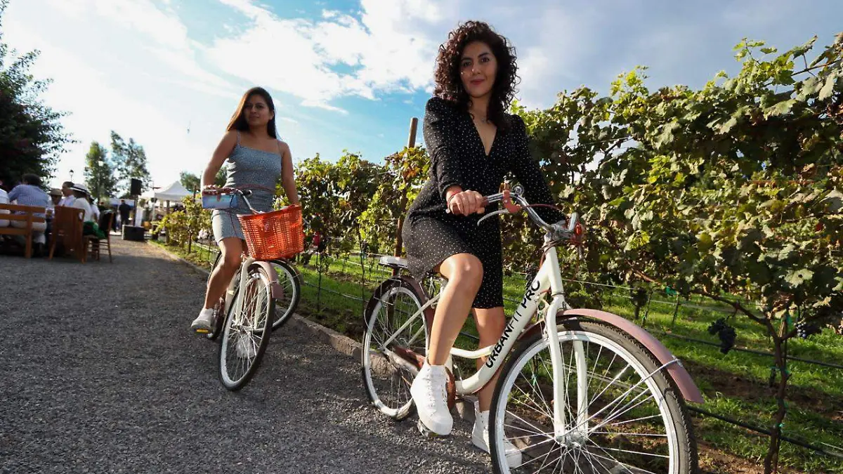 5273392f-605e-465d-a8ed-542d0f526c11