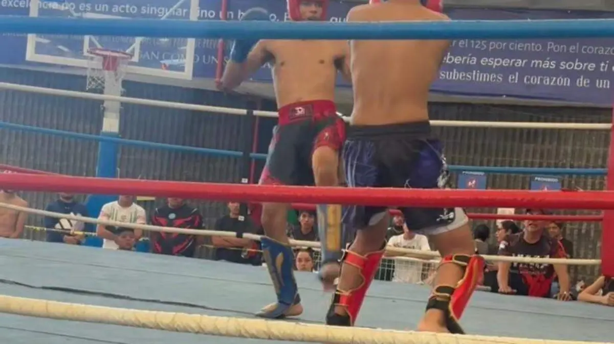 IMG-20260215-WA0096~2